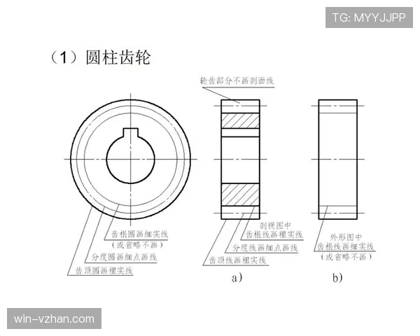 篮球球出界判定规则的核心要素与标准解读